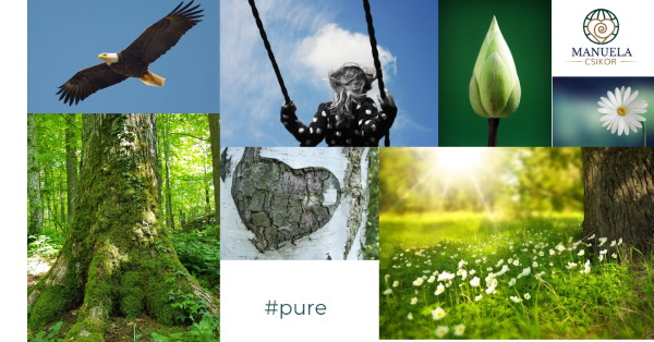 PURE Coaching 3